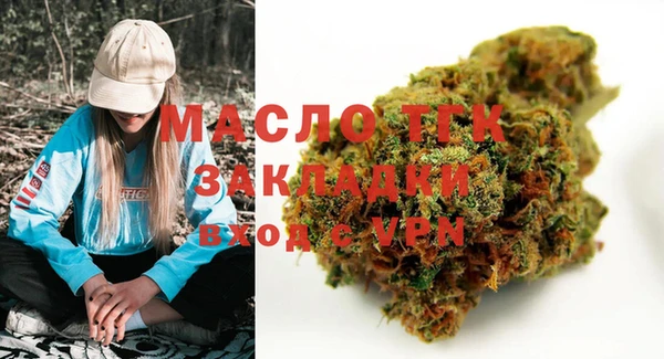стаф Новозыбков