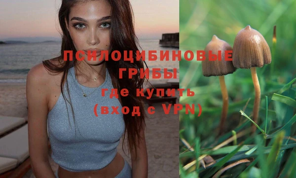 spice Медвежьегорск